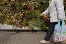 Person in heller Jacke mit Einkaufstaschen geht an einer bunt bepflanzten Wand entlang.