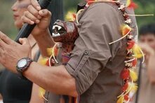 Seitliche Ansicht eines menschlichen Oberkörpers mit Hemd, Federschmuck und einem Leoparden aus Holz geschmückt. Der Mensch hält ein Mikrophon in einer Hand. 