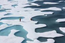 Arctic
