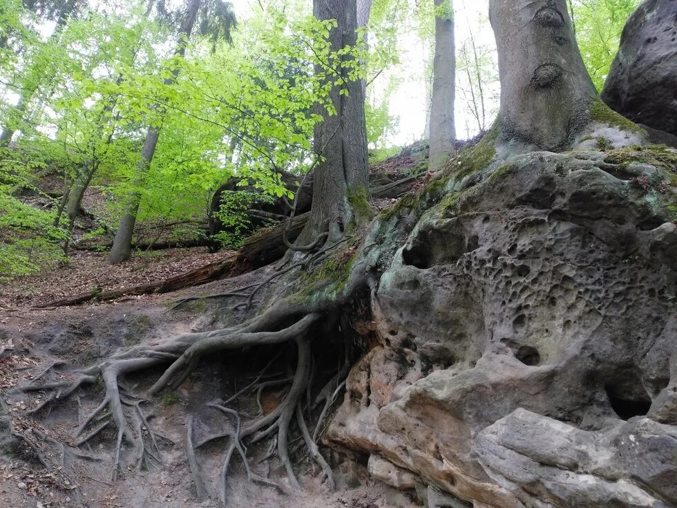 Sächsische Schweiz Sächsische Schweiz