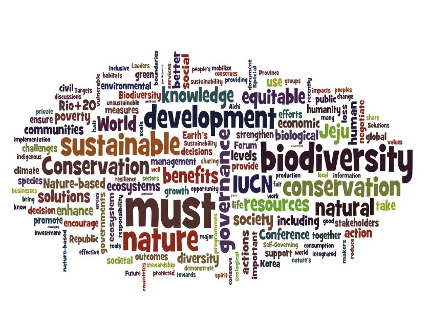 Wordled Jeju Declaration from the September 2012 #iucncongress Neue Ökonomie der Natur: Naturkapital und Biodiversität